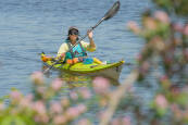 Werner Athena Sea Kayaking Carbon Foamcore Paddle